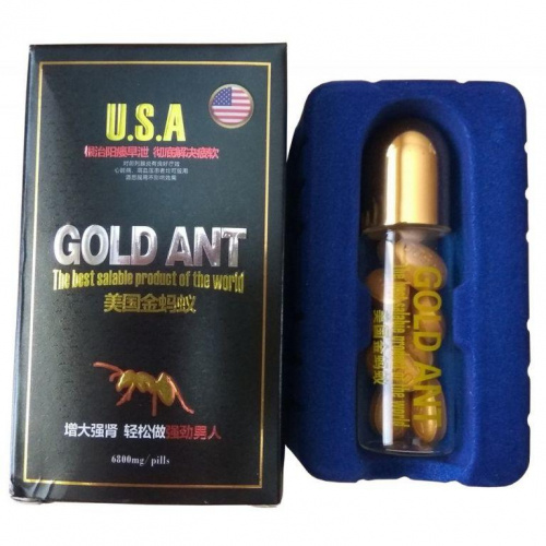 GOLD ANT